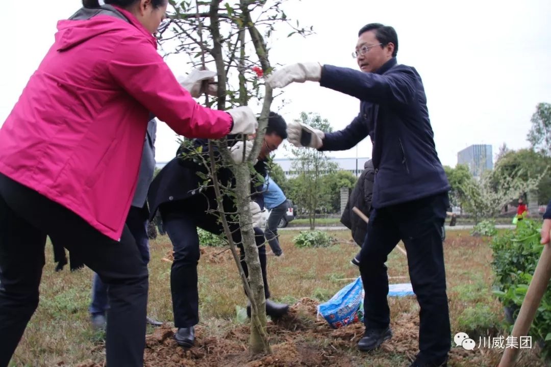 川威集團舉辦2019年植樹節活動(圖3)