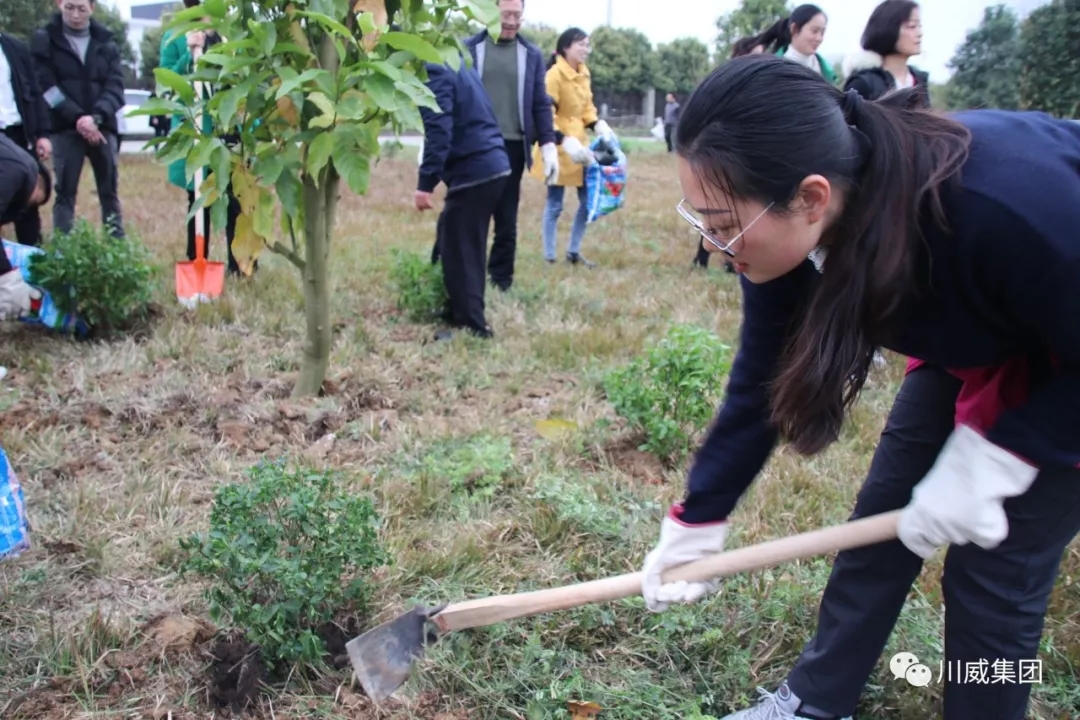 川威集團舉辦2019年植樹節活動(圖4)