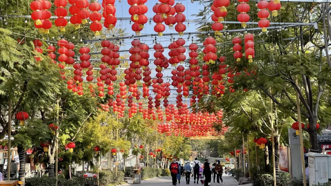 西昌市大石板鄉村振興項目再獲省級榮譽(圖8)