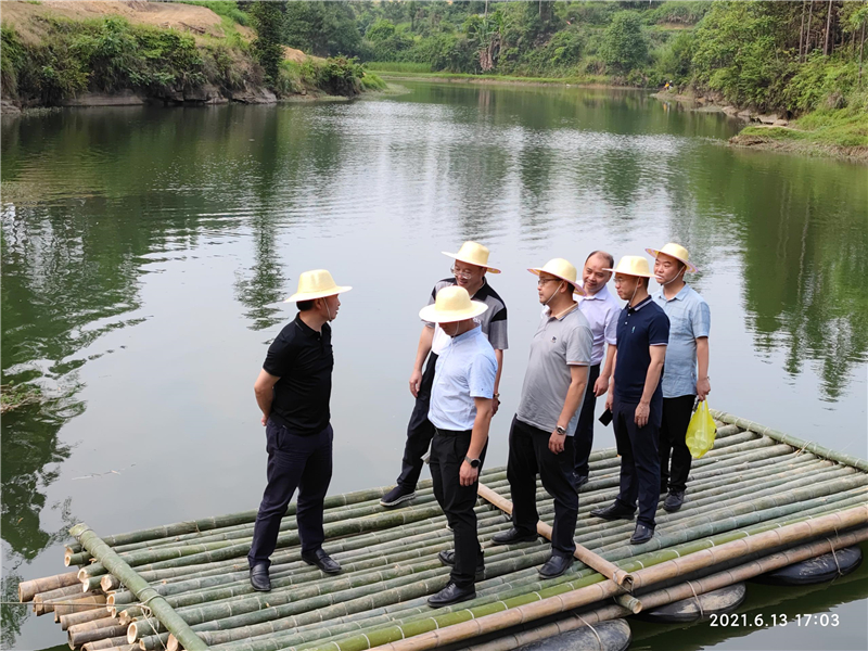 集團公司王勁董事長視察穹窿植物園建設現場(圖2)